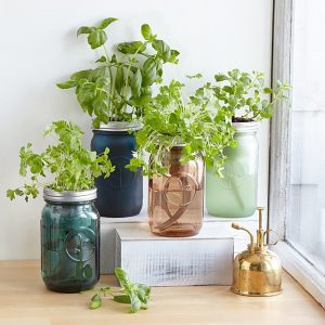 gift guide for her: mom edition, indoor mason jar herb garden