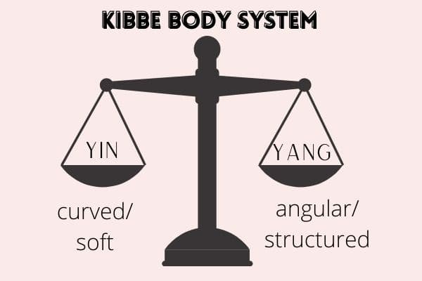 kibbe body types, yin and yang on scales - yin is soft/curved and yang is angular/structure 