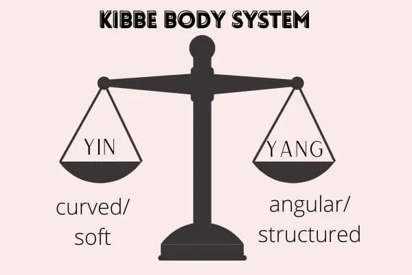 13 Body Types According to Kibbe. The standard 'hourglass figure' and…, by  Nuwani Bandara