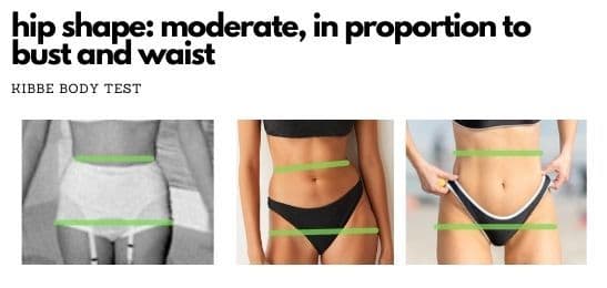 kibbe quiz hip shape: moderate in proportion to bust and waist