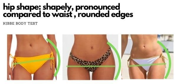 kibbe hip shape: shapely, pronounced compared to waist, rounded edges