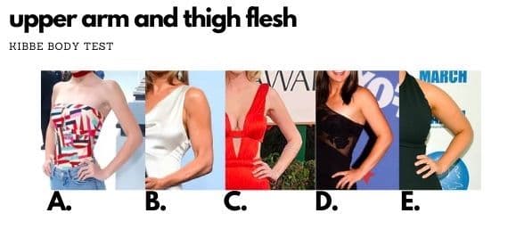 kibbe quiz upper arms and thigh flesh examples