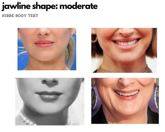 jawline kibbe moderate shape examples