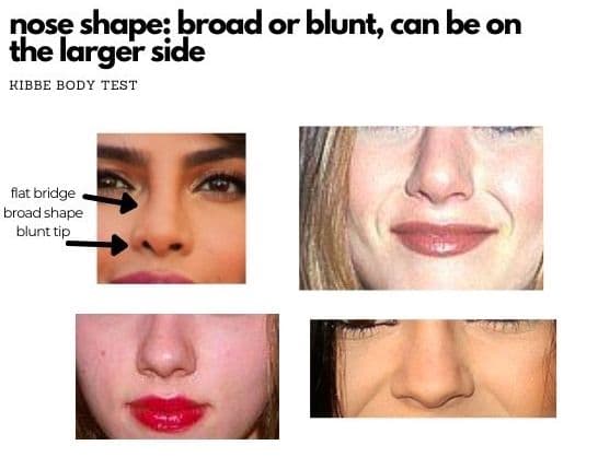 nose shape kibbe quiz: broad or blunt can be on the larger