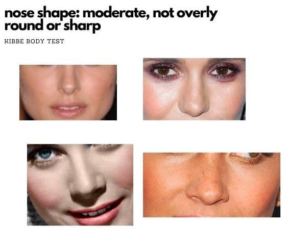 nose shape moderate examples for kibbe quiz