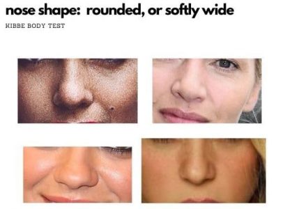 nose shape kibbe rounded or softly wide