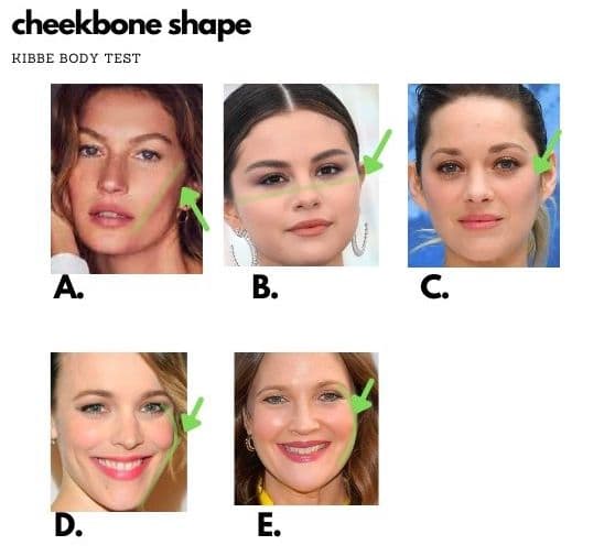 kibbe test cheekbone shape of bone