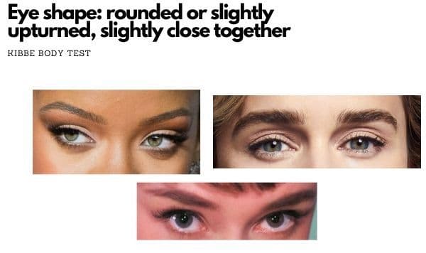 kibbe quiz eye shape: rounded or slightly upturned, slightly close together 