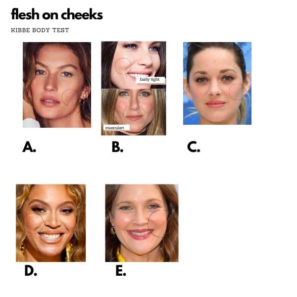 kibbe quiz example of flesh on cheeks