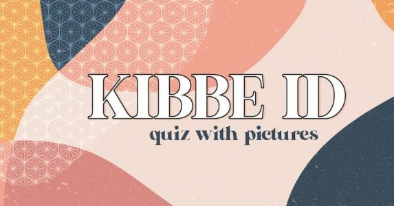 The Kibbe Body Type Test with Pictures