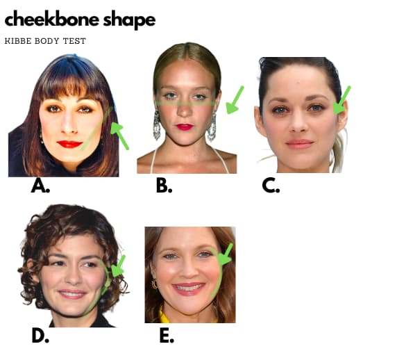 cheekbone shapes for each kibbe Id for kibbe body test