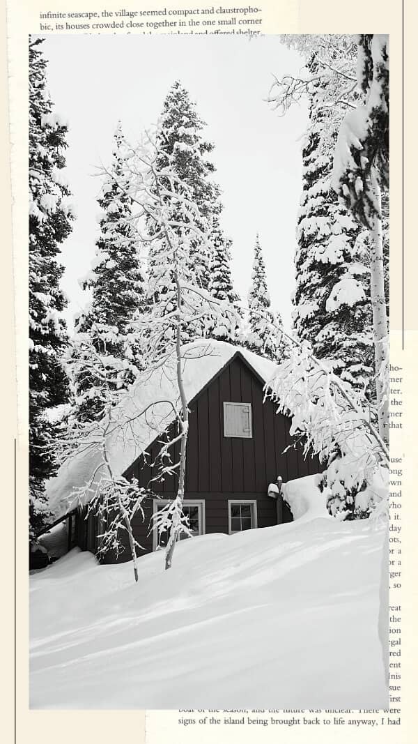 vintage book type frame with blac and white forest image with cottage with snow. vintage december aesthetic wallpaper for iphone
