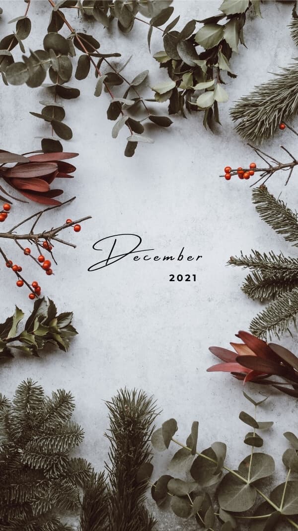 gray textured background with different holiday plants around the edges creating a frame. in the center "december 2021" text in script font.  holiday background for iphone
