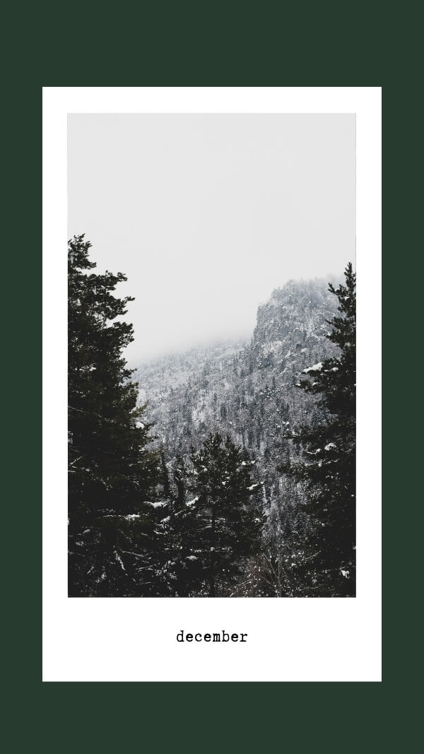 dark green background with vertical white frame in center with an image of snowy forest and hills, with text "december" at bottom in typewriter font. 
december wallpaper for iphone