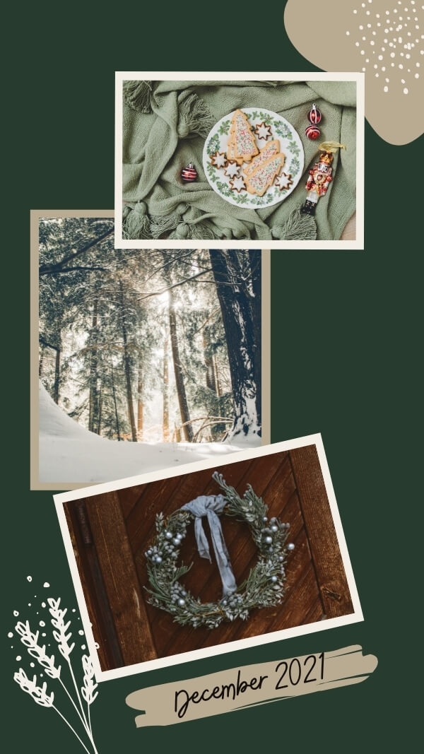 dark green background with three image frames- gingerbread cookies on plate, evergreen in snowy forest, and a wreath on wooden door. with december 2021 tex at bottom of image