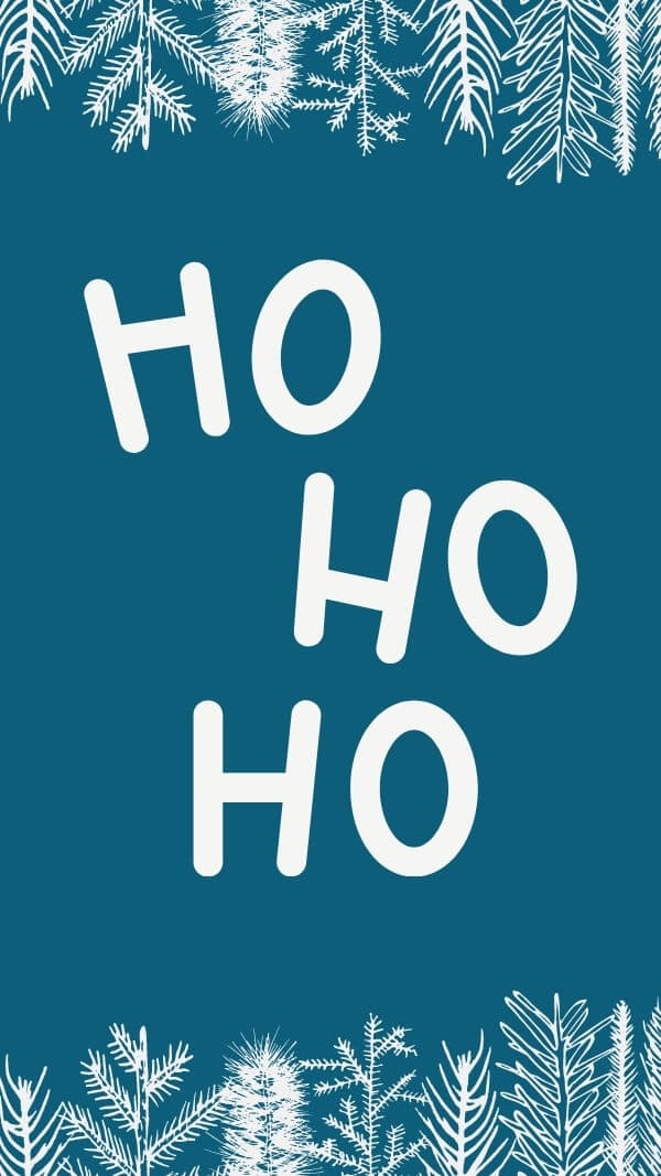 blue background with white illustrated branches at top and bottom with large white letters "ho ho ho" in center, holiday wallpaper background