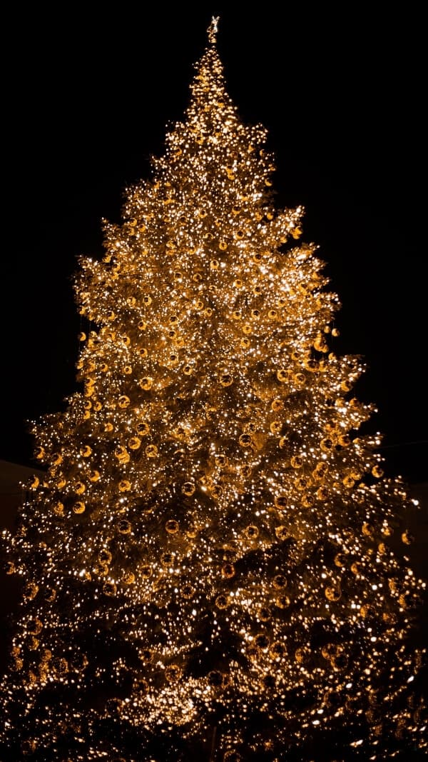 dark background with large lit-up christmas tree (white lights) for phone wallpaper 
