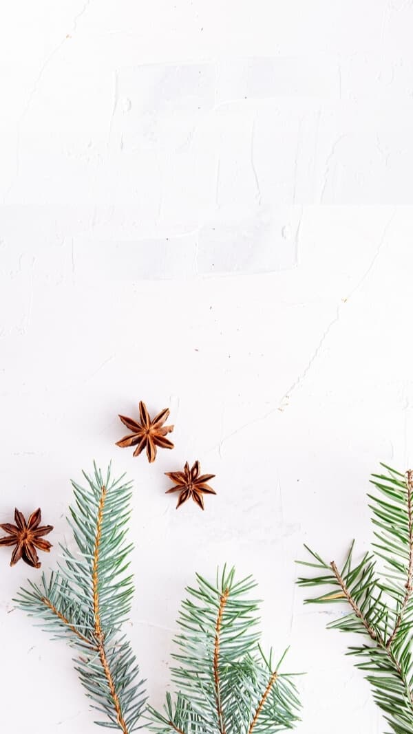 minimalist light holiday background with a couple evergreen sprigs on the bottom of image with start of anise near