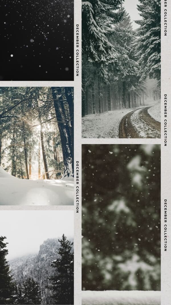 white film frames with four images of snowy forests, december collection, december iphone wallpaper background
