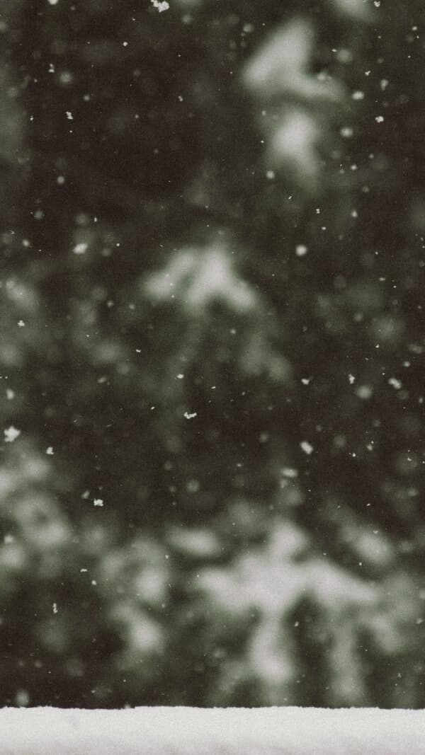 image looking at snow falling out of window with blurry forest in background. december aesthetic wallpaper for phone