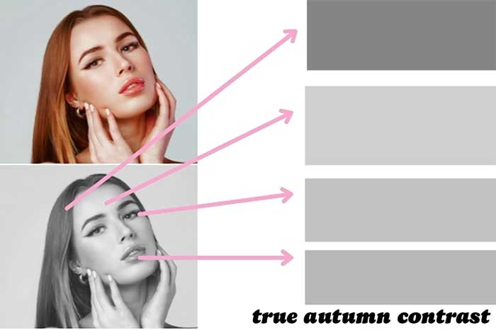true autumn contrast, grayscale color palette to show how close the tones are for the true autumn hair, skin, eye color, and lips. 