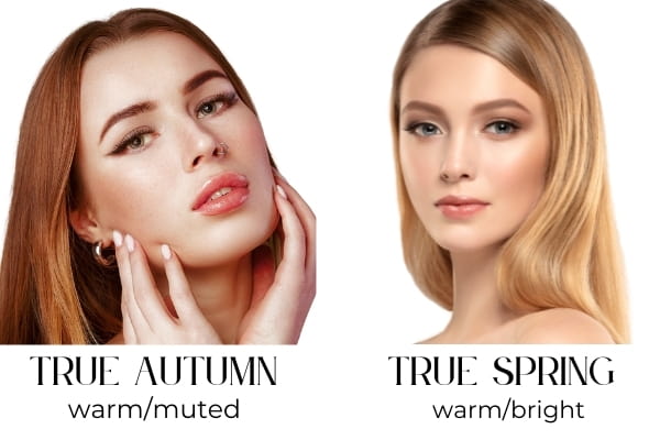 true autumn (warm/muted) versus true spring (warm/bright)