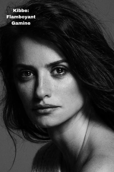 kibbe flamboyant gamine facial features example penelope cruz