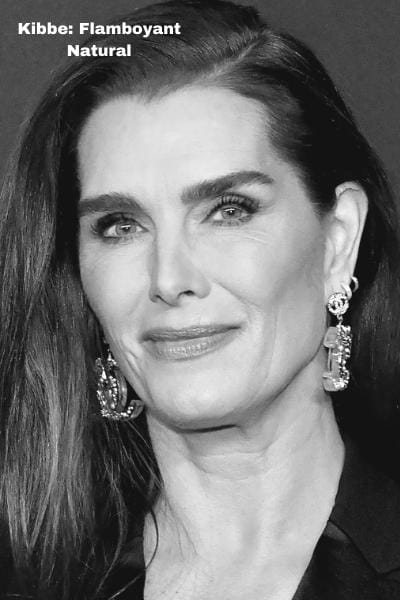 kibbe flamboyant natural face example brooke shields