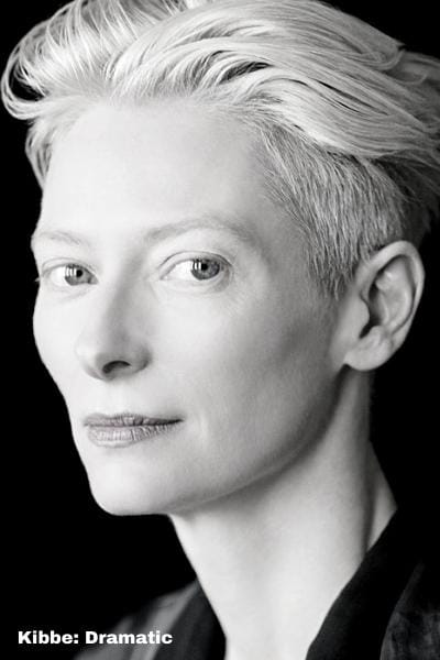 kibbe dramatic face tilda swinton 