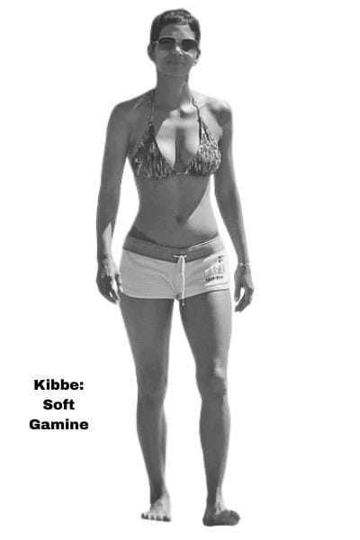 kibbe soft gamine halle berry body example