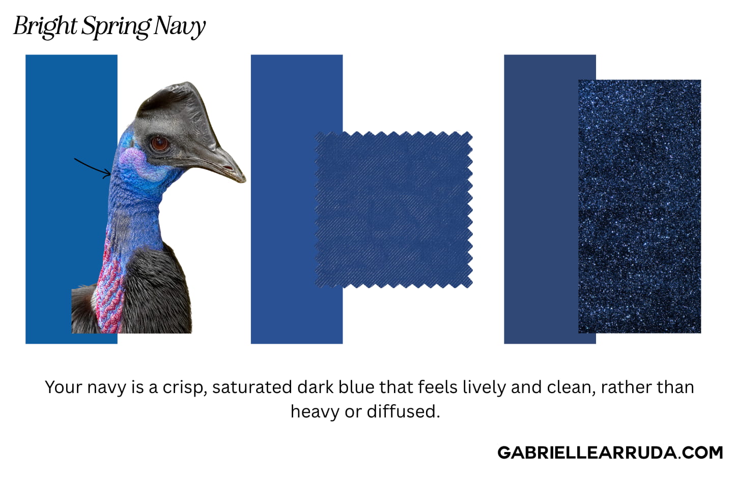 bright spring navy