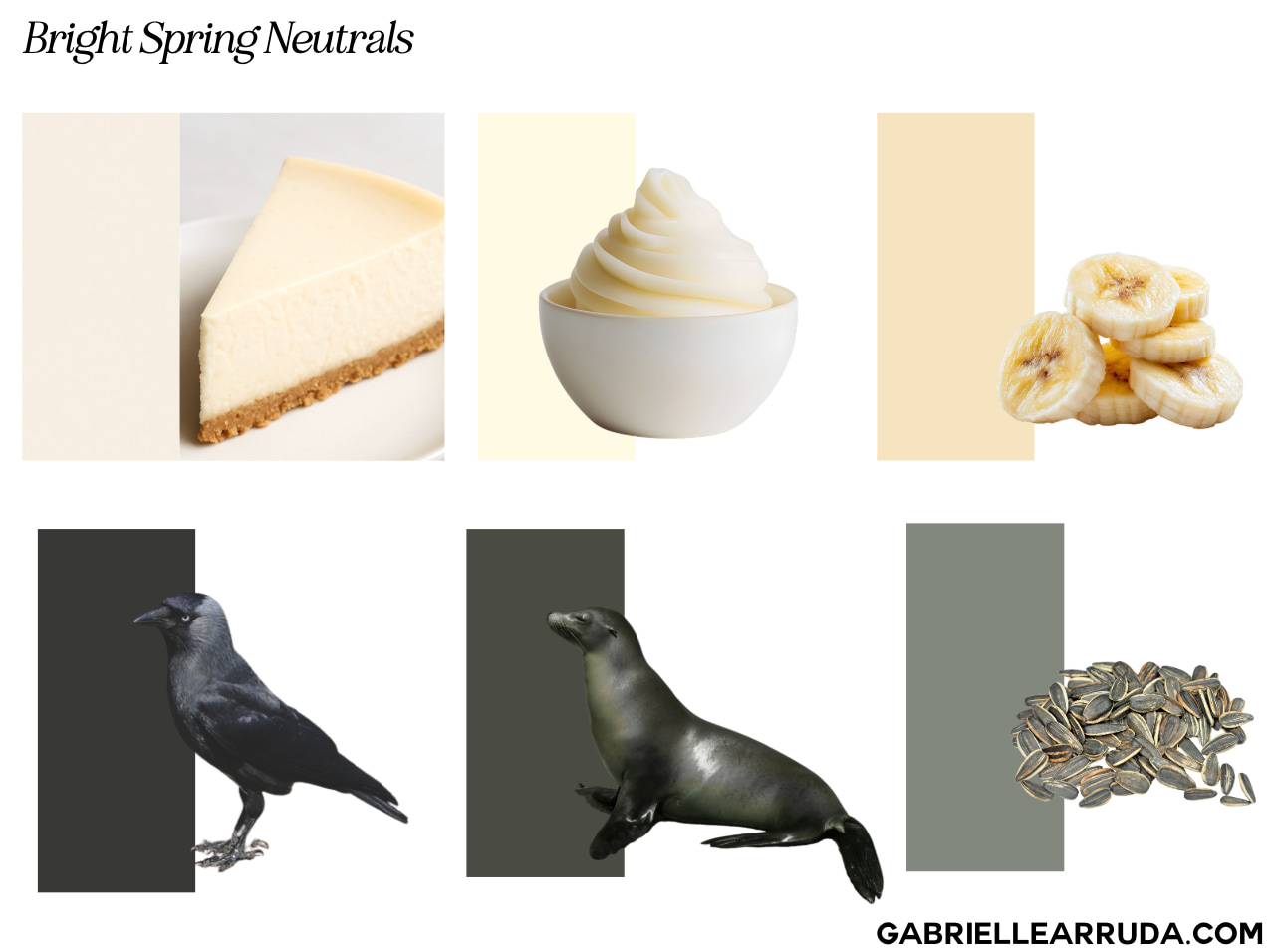 bright spring neutral palette with inspiration images