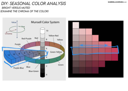 what is bright versus muted on the munsell color wheel in seasonal color analysis